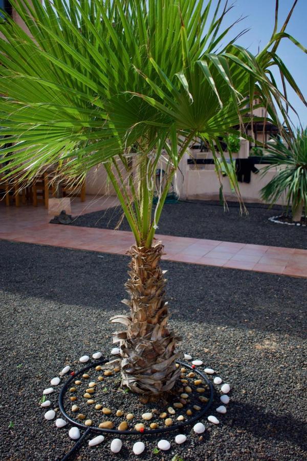 The Wind's Breath, Perfect For Relaxing Getaway Casa vacanze La Oliva